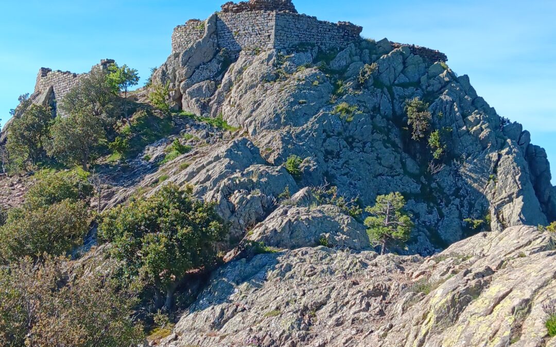 Diumenge 15 de Juny: Castell de Cabrera i Salines