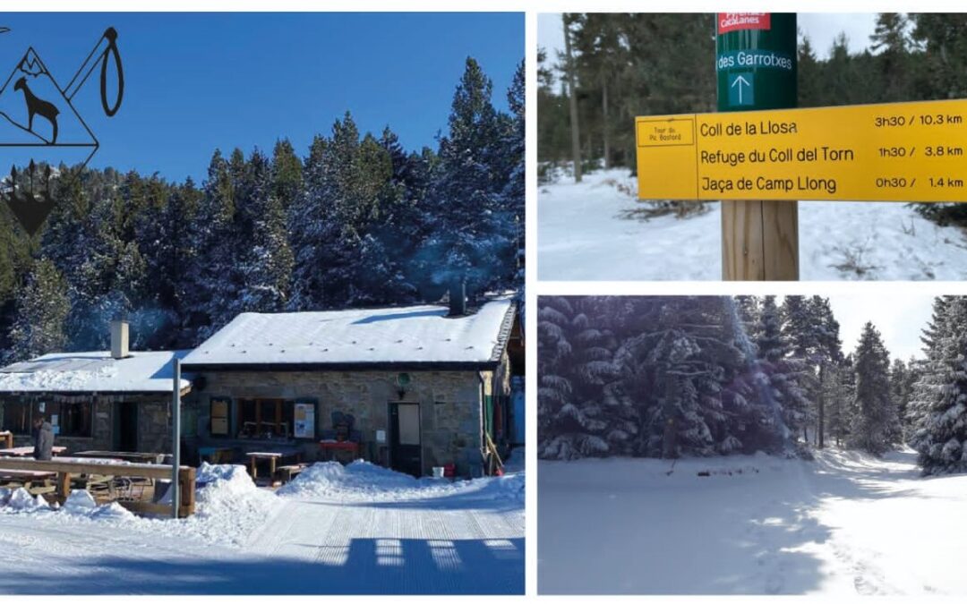 Dissabte 7 de febrer: Sortida amb raquetes al Capcir